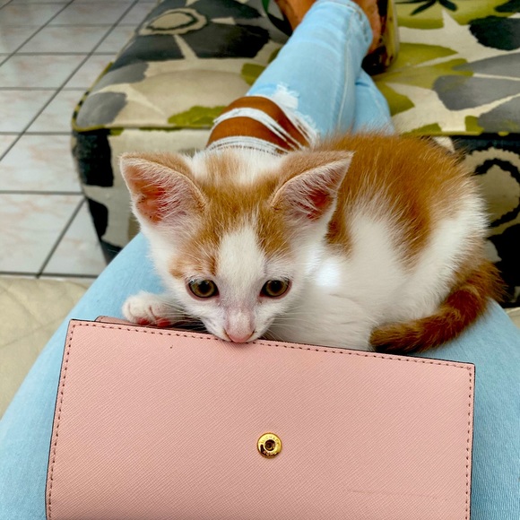 Meet your Posher, Mariana - Picture 1 of 1